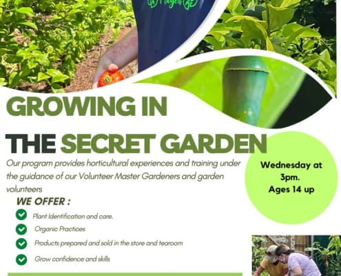 Growing in The Secret Garden