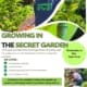 Growing in The Secret Garden